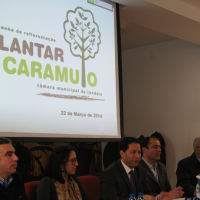 Reflorestação do Caramulo arranca a 22 de Março