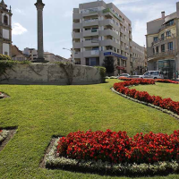 Viseu integra movimento europeu para cidades mais verdes, limpas e saudáveis