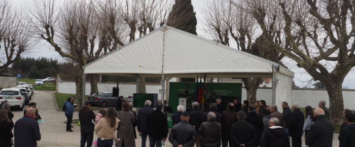 Requalificação e ampliação do cemitério municipal de Tondela custa 458 mil euros