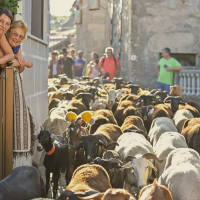 Castro Daire nos trilhos do turismo sustentável
