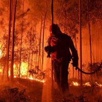 Desinvestimento nos Bombeiros Municipais de Viseu prejudicou o combate aos fogos florestais